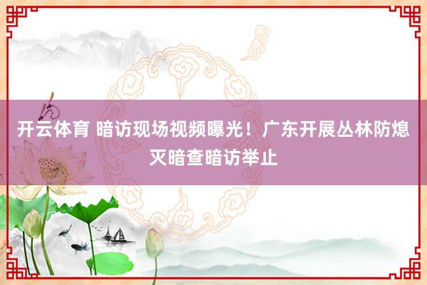 开云体育 暗访现场视频曝光！广东开展丛林防熄灭暗查暗访举止