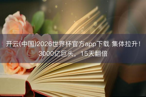 开云(中国)2026世界杯官方app下载 集体拉升！3000亿巨头，15天翻倍