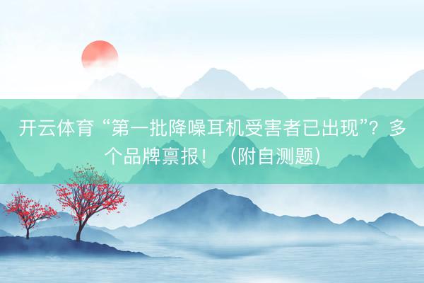 开云体育 “第一批降噪耳机受害者已出现”？多个品牌禀报！（附自测题）