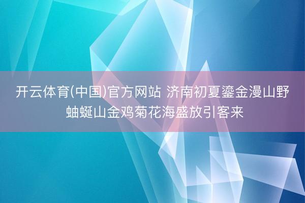 开云体育(中国)官方网站 济南初夏鎏金漫山野 蚰蜒山金鸡菊花海盛放引客来
