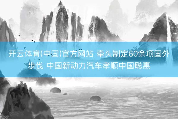 开云体育(中国)官方网站 牵头制定60余项国外步伐 中国新动力汽车孝顺中国聪惠