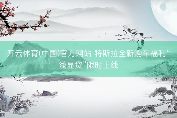 开云体育(中国)官方网站 特斯拉全新购车福利“浅显贷”限时上线
