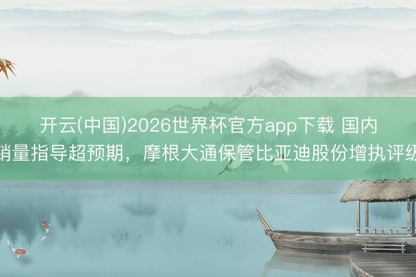 开云(中国)2026世界杯官方app下载 国内销量指导超预期，摩根大通保管比亚迪股份增执评级