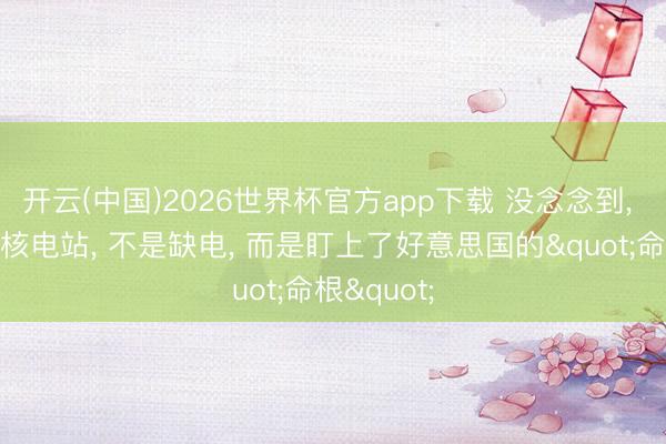 开云(中国)2026世界杯官方app下载 没念念到, 中国狂建核电站, 不是缺电, 