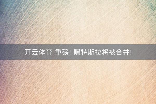 开云体育 重磅! 曝特斯拉将被合并!