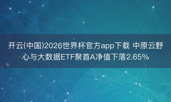 开云(中国)2026世界杯官方app下载 中原云野心与大数据ETF聚首A净值下落2.