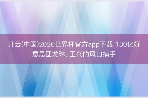 开云(中国)2026世界杯官方app下载 130亿好意思团龙珠， 王兴的风口捕手