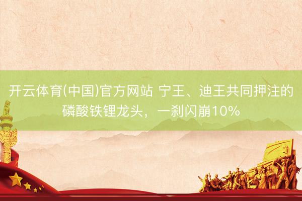 开云体育(中国)官方网站 宁王、迪王共同押注的磷酸铁锂龙头，一刹闪崩10%