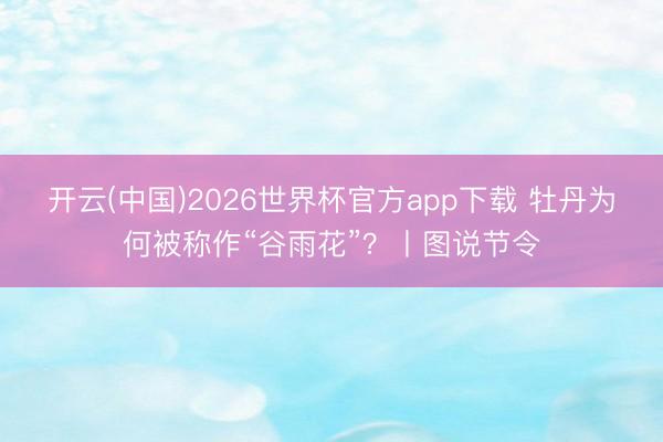 开云(中国)2026世界杯官方app下载 牡丹为何被称作“谷雨花”？丨图说节令