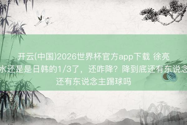 开云(中国)2026世界杯官方app下载 徐亮：中超薪水还是是日韩的1/3了，还咋降？降到底还有东说念主踢球吗