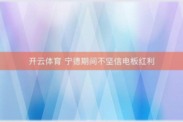 开云体育 宁德期间不坚信电板红利